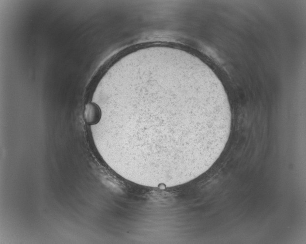 X0000068831312200606021632