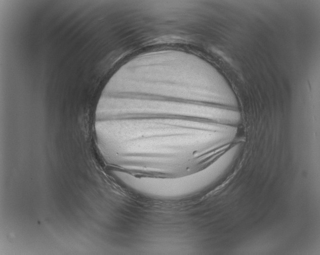 X0000068831313200606021632