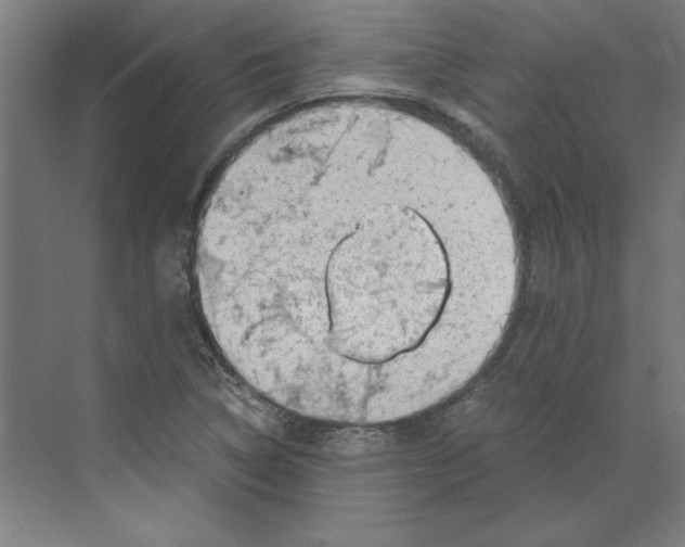 X0000068831314200606021632