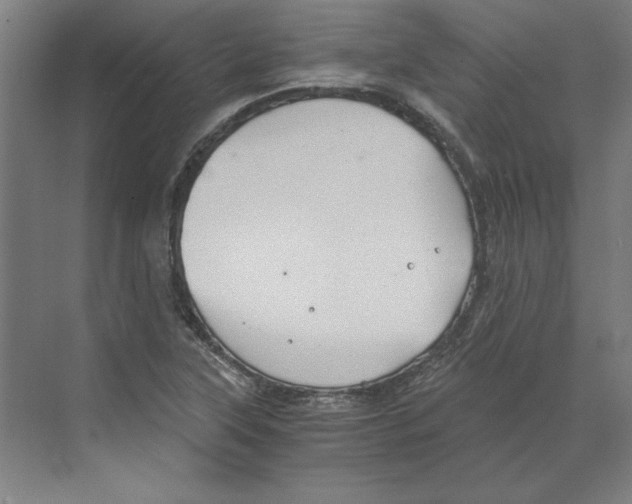 X0000068831315200606021632