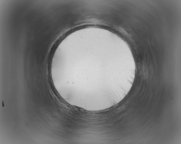 X0000068831318200606021632