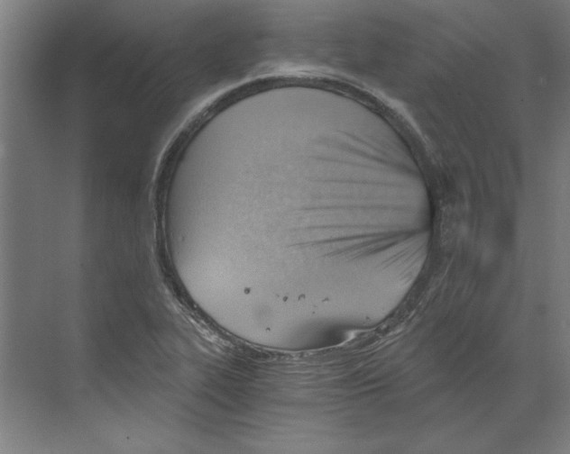 X0000068831319200606021632