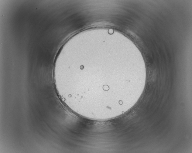 X0000068831322200606021633