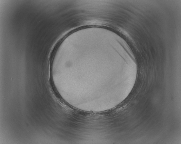 X0000068831323200606021633