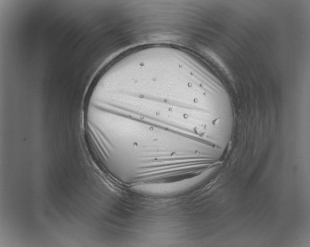 X0000068831324200606021633