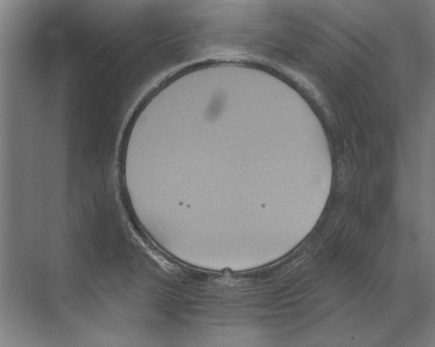 X0000068831327200606021633