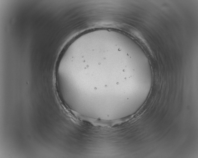 X0000068831328200606021633