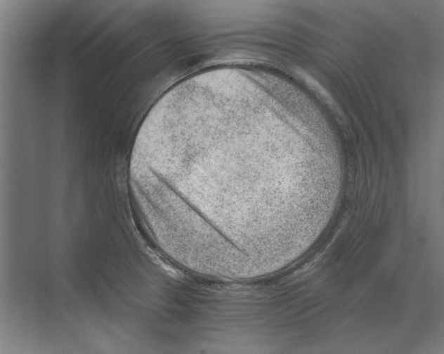 X0000068831329200606021633