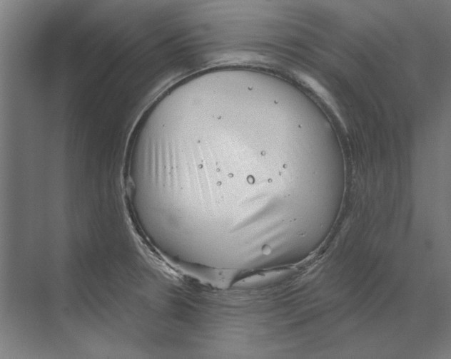 X0000068831330200606021633