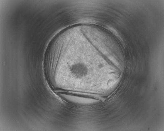 X0000068831331200606021633