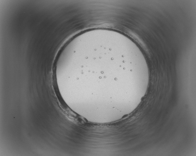 X0000068831332200606021633