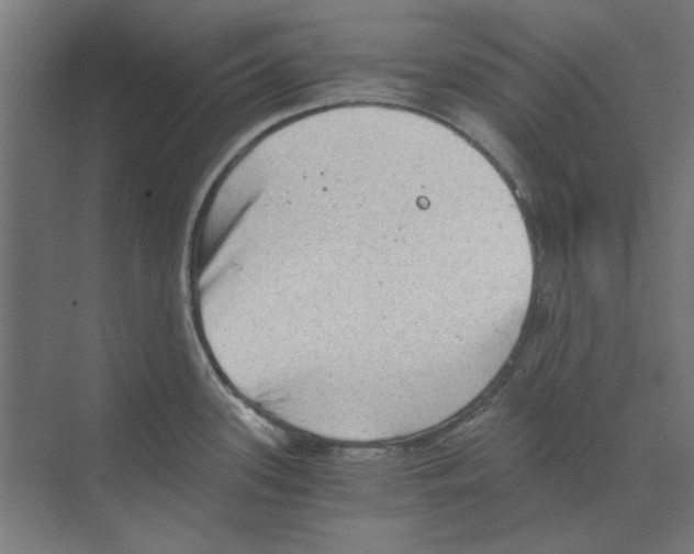 X0000068831339200606021633