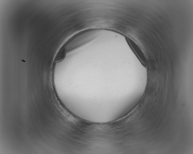 X0000068831340200606021633