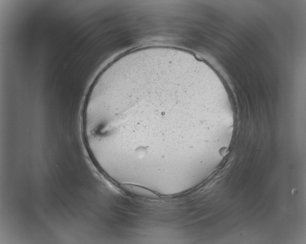 X0000068831341200606021633