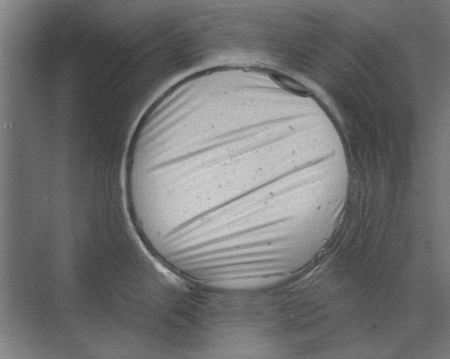 X0000068831343200606021633