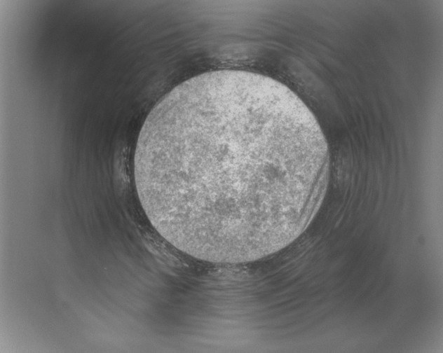 X0000068831346200606021632