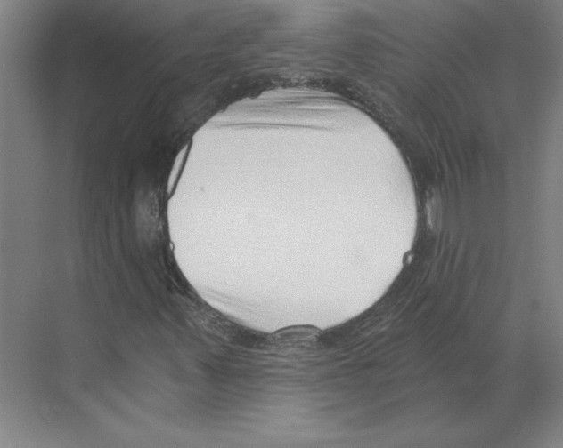 X0000068831347200606021632