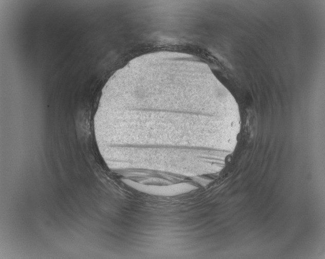 X0000068831348200606021632