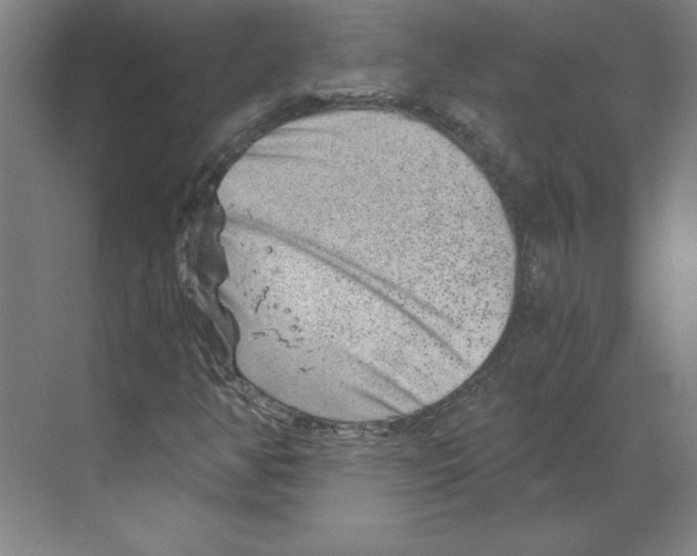 X0000068831350200606021632