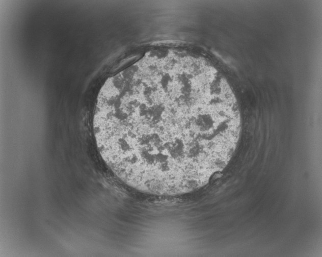 X0000068831351200606021632