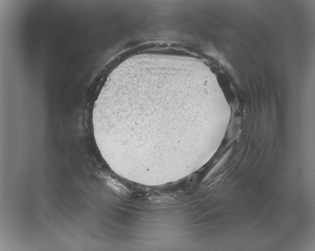 X0000068831352200606021632