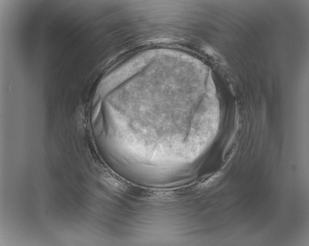 X0000068831353200606021632