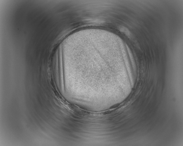 X0000068831354200606021632