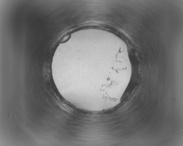 X0000068831355200606021632