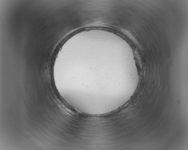 X0000068831356200606021632