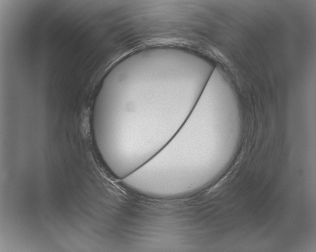 X0000068831361200606021632