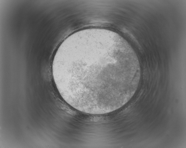 X0000068831362200606021632