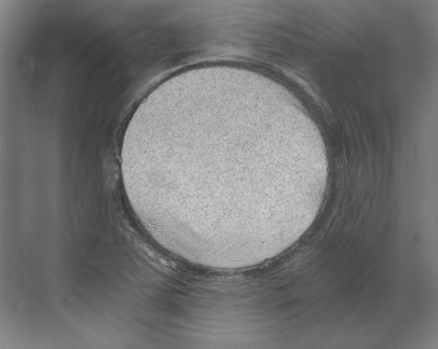 X0000068831363200606021632