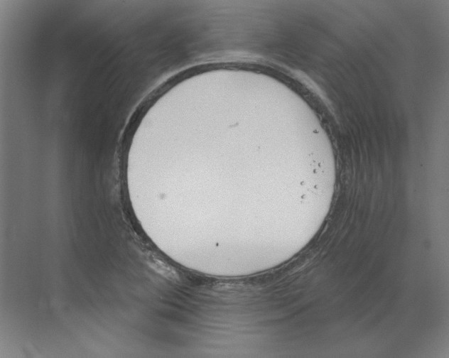 X0000068831364200606021632