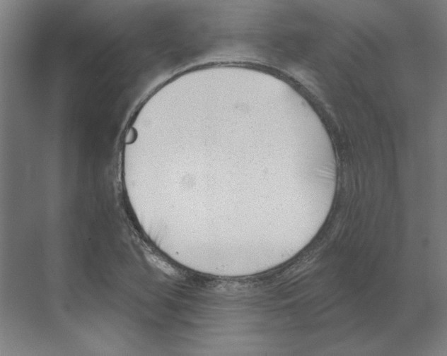 X0000068831366200606021632