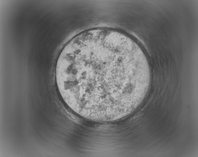 X0000068831367200606021632