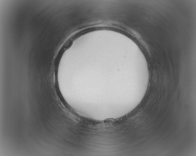 X0000068831368200606021632