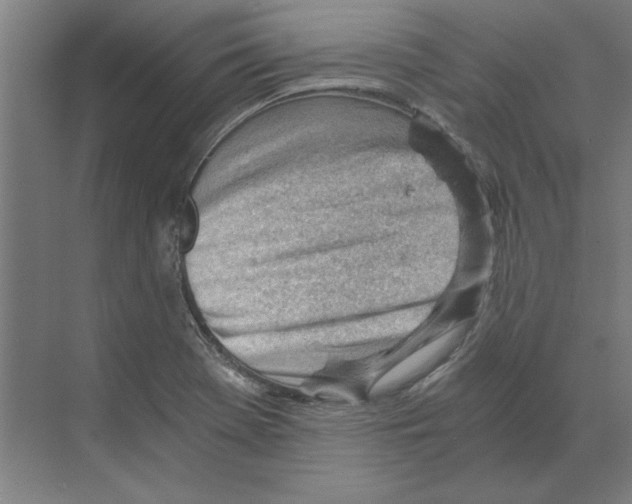 X0000068831369200606021632