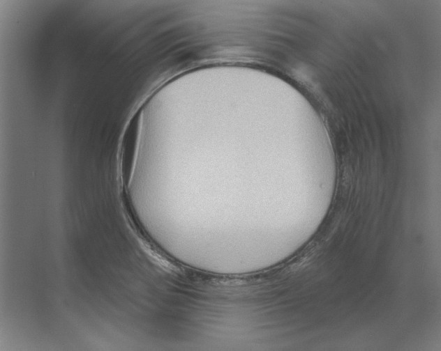 X0000068831370200606021632