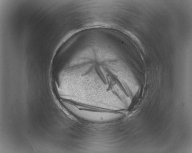 X0000068831373200606021632