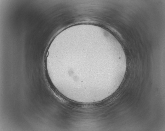 X0000068831375200606021632