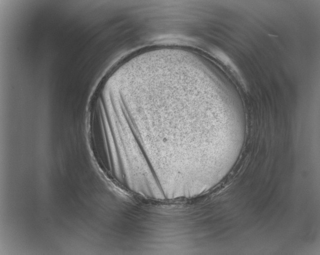 X0000068831376200606021632