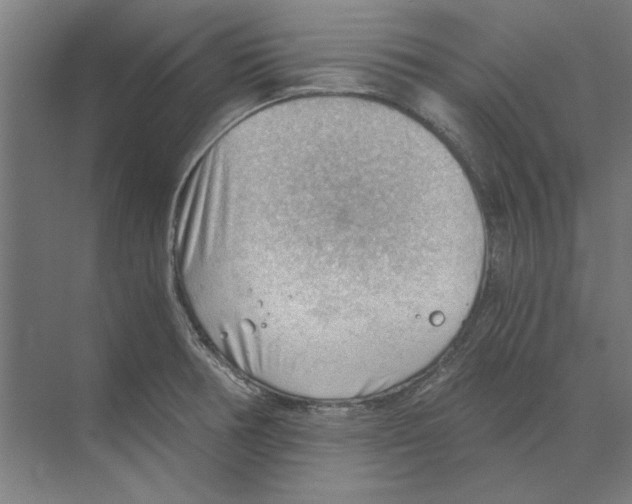 X0000068831378200606021632