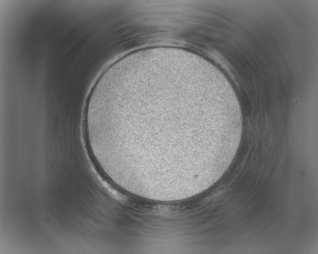 X0000068831379200606021632