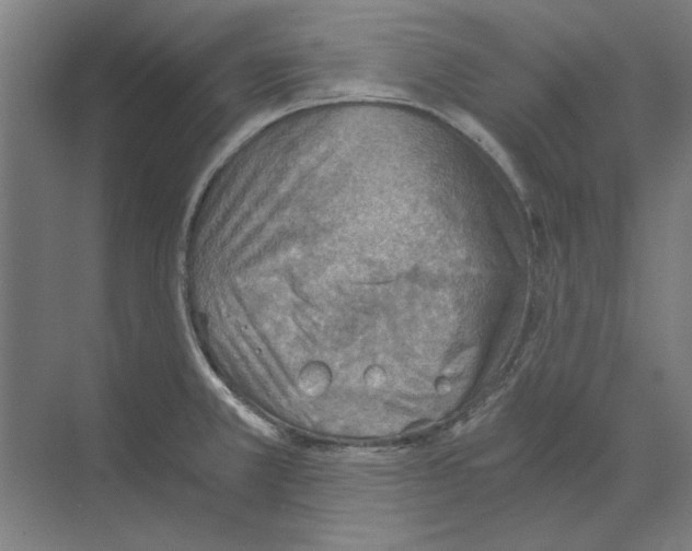 X0000068831381200606021631