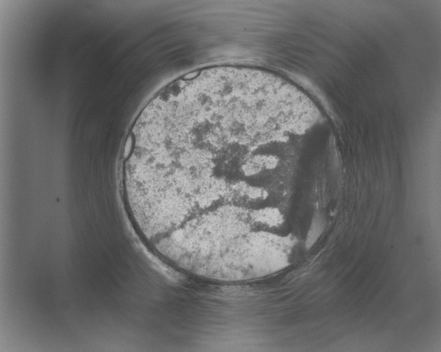 X0000068831383200606021631