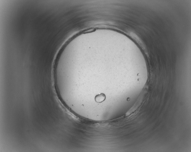 X0000068831384200606021631