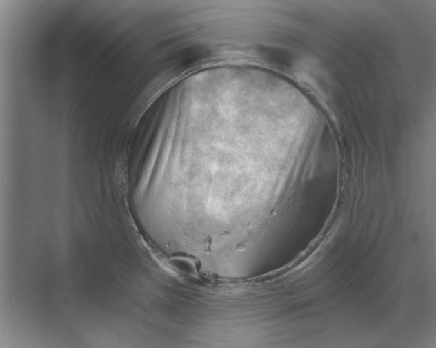 X0000068831385200606021631