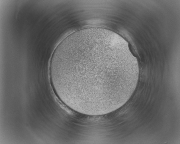 X0000068831386200606021631