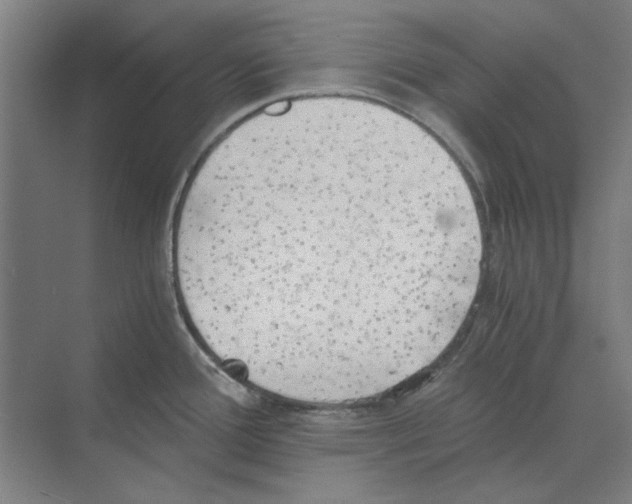 X0000068831388200606021631