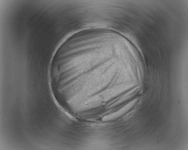 X0000068831389200606021631